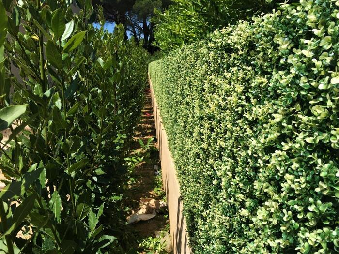 Fournisseur d'accessoires de jardin Sainte-Maxime