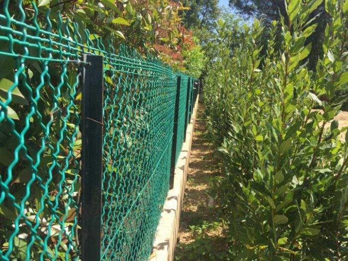 Expert en feuillage artificiel Sainte-Maxime