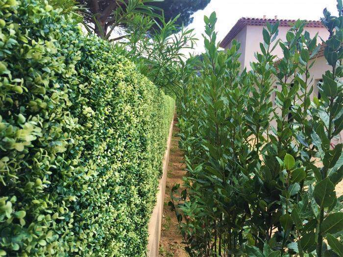 Expert en feuillage artificiel Sainte-Maxime