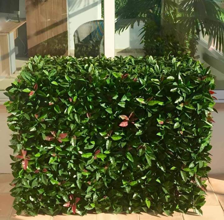Spécialiste du feuillage artificiel Sainte-Maxime