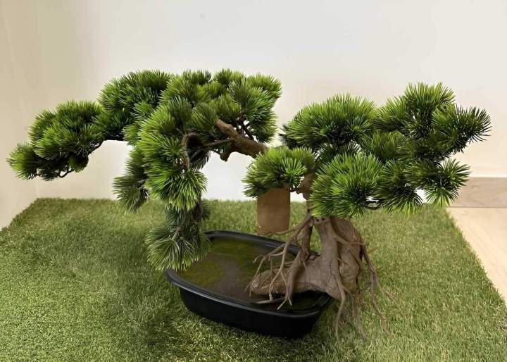 Fournisseur de plantes artificielles Sainte-Maxime