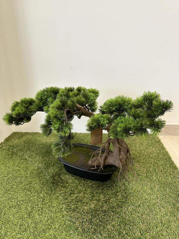 Expert en plantes artificielles Sainte-Maxime