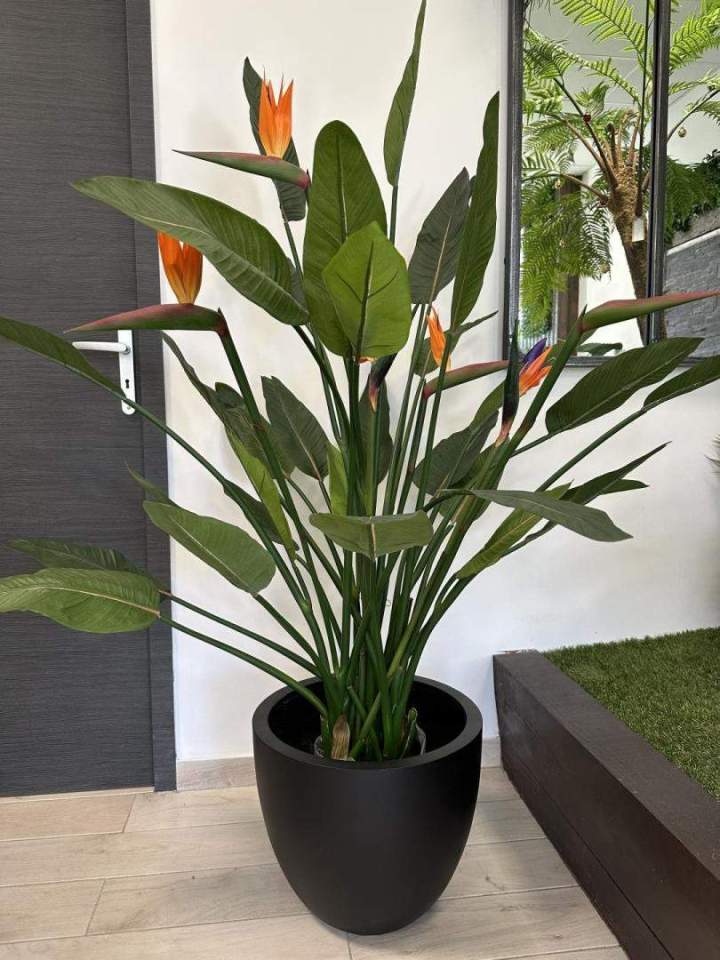 Plantes artificielles Sainte-Maxime