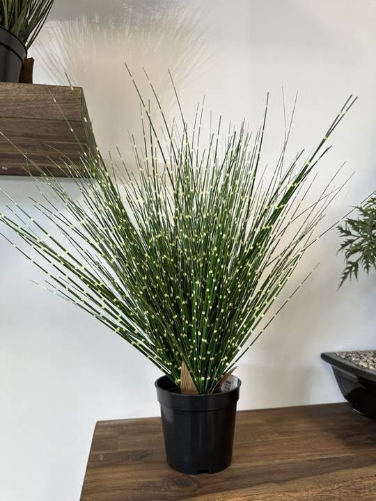 Plantes artificielles haut de gamme Sainte-Maxime