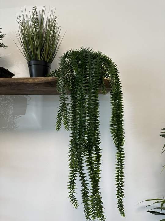 Plantes artificielles Sainte-Maxime