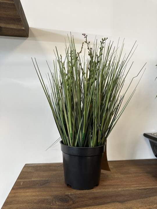 Expert en plantes artificielles Sainte-Maxime