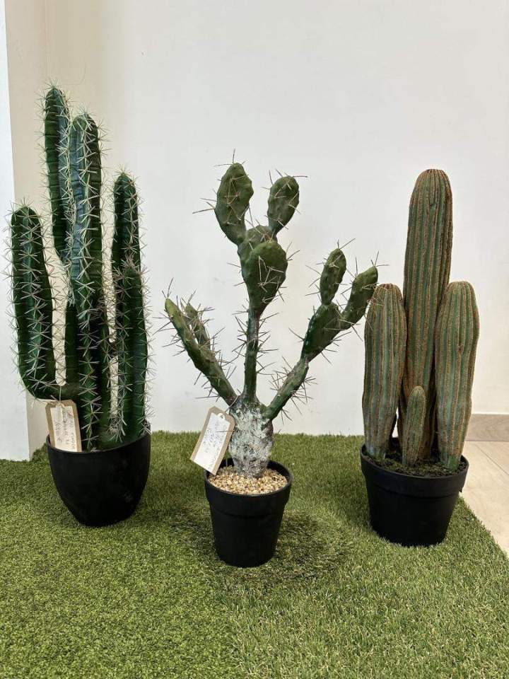 Expert en plantes artificielles Sainte-Maxime
