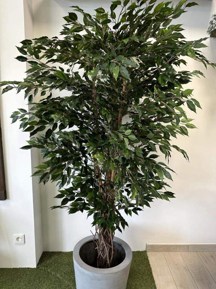 Expert en plantes artificielles Sainte-Maxime