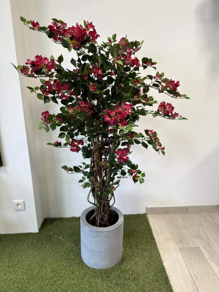 Plantes artificielles, Fréjus