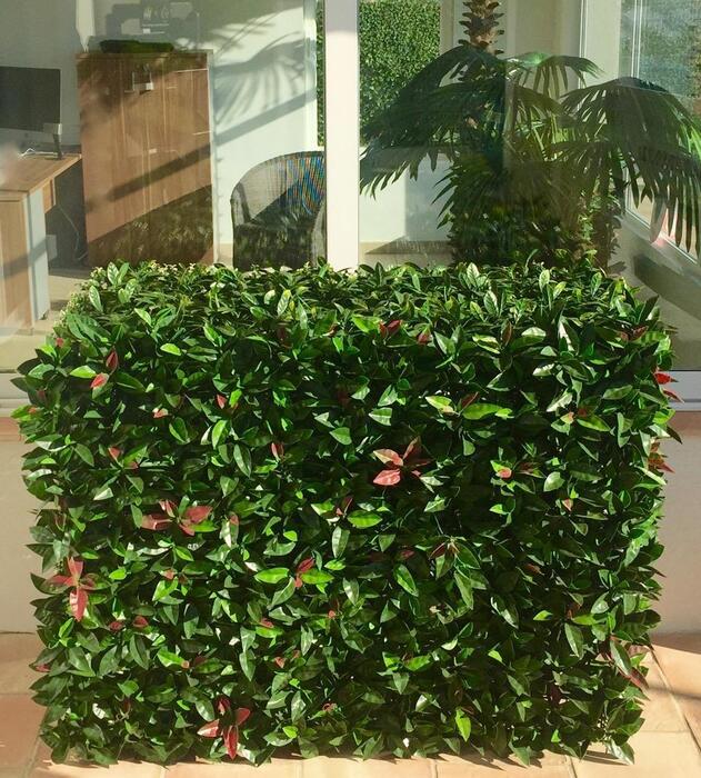 Fournisseur de plantes artificielles Sainte-Maxime