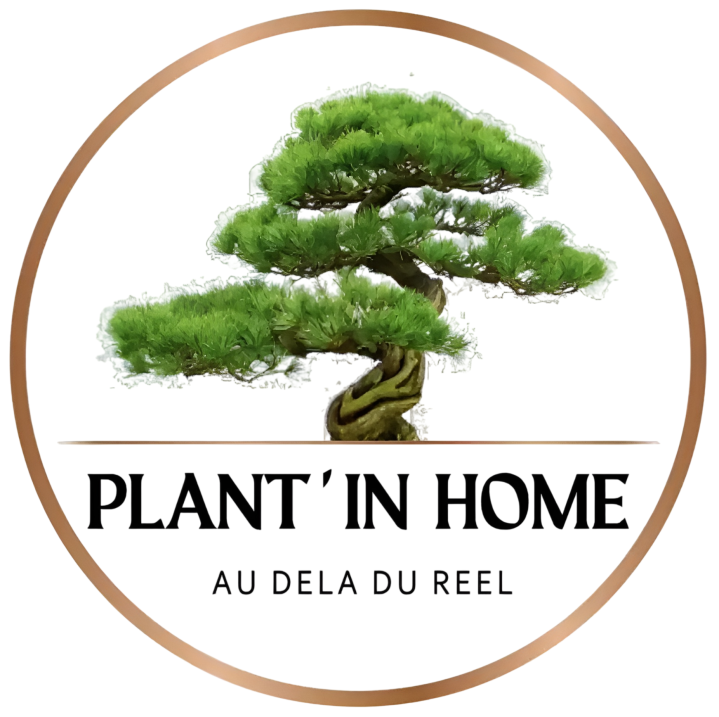 plantinhouse